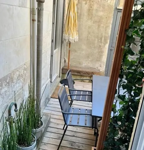La Terrasse Hyper Centre Pres Des Halles 公寓 *
